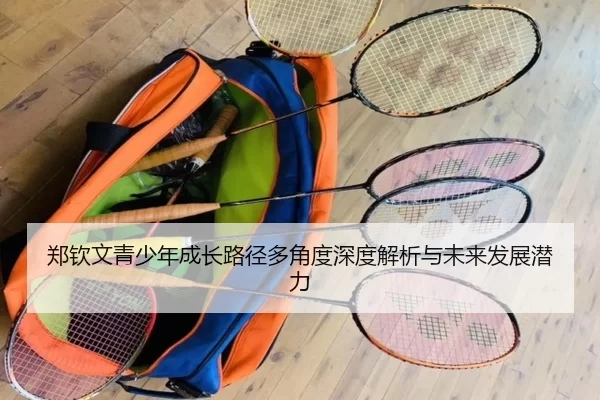郑钦文青少年成长路径多角度深度解析与未来发展潜力